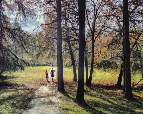 Active lifestyle walking outdoors in nature